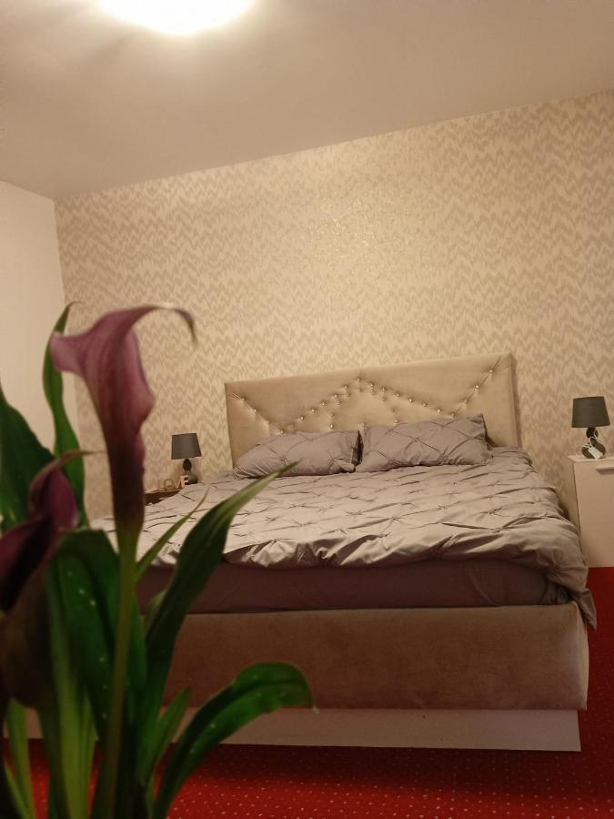 شقة Karina House براشوف المظهر الخارجي الصورة