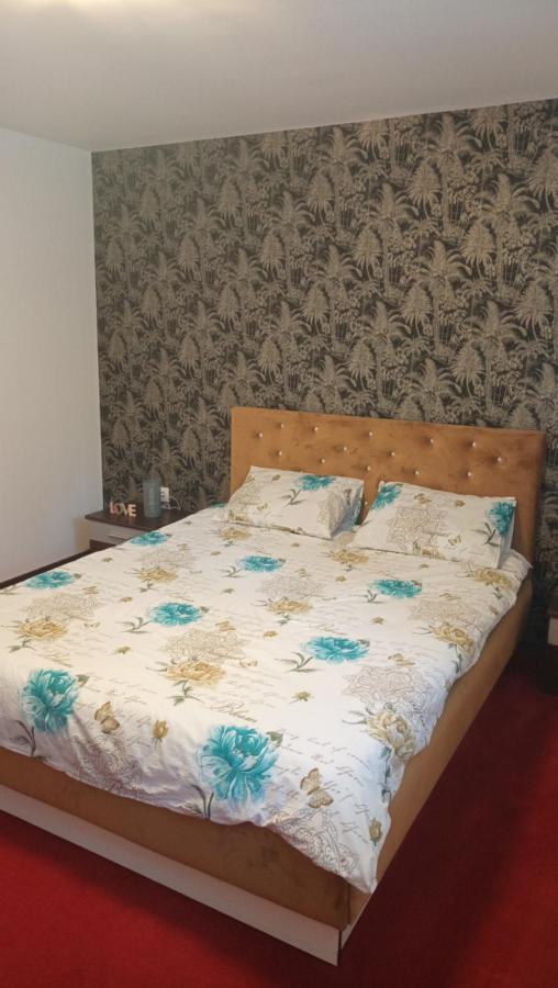 شقة Karina House براشوف المظهر الخارجي الصورة